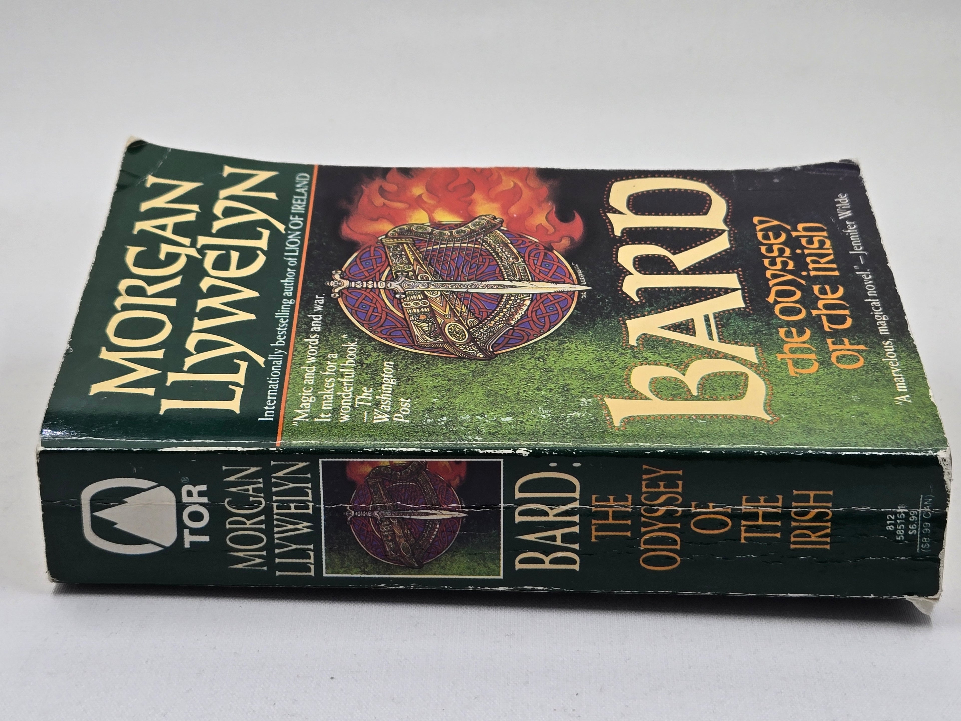 Bard: The Odyssey of the Irish (1984 Paperback) by Morgan Llywelyn